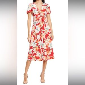 Maggy London tropical print dress size 6